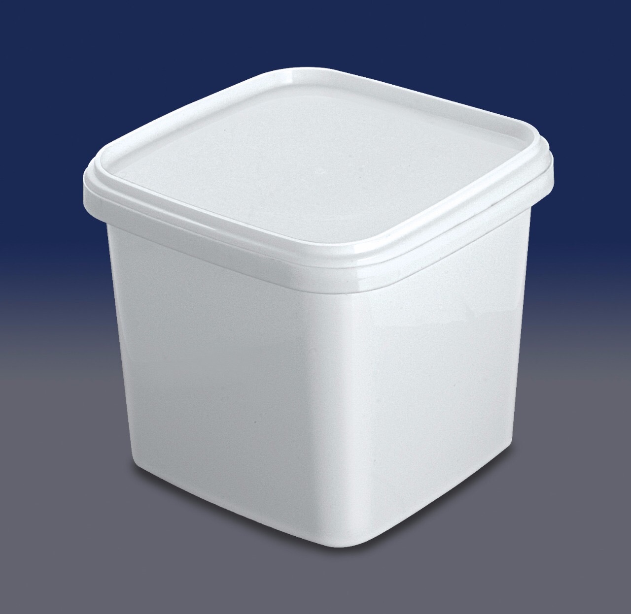 Plastic Ice Cream Container